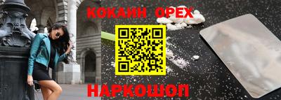 молекула духа Кингисепп