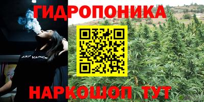 стафф Кинель