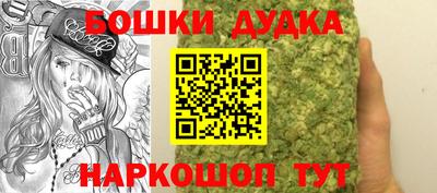 молекула духа Кингисепп