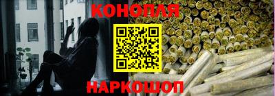 молекула духа Кингисепп