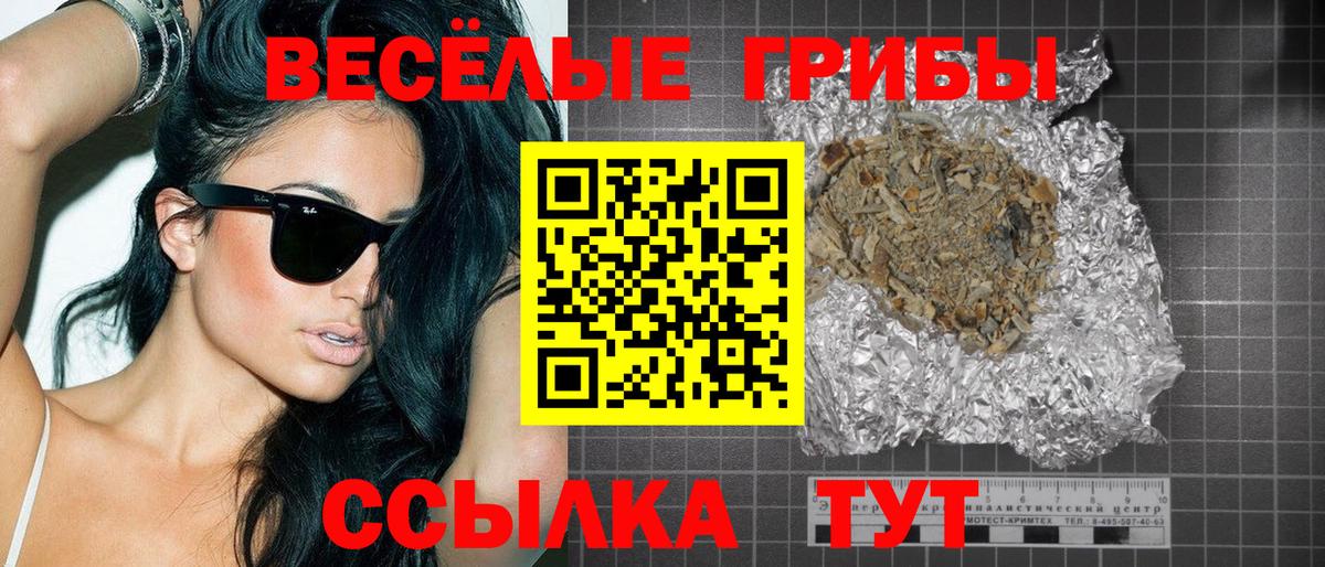 Видное  Галлюциногенные грибы Psilocybine cubensis  Псилоцибиновые грибы мицелий  Вход с VPN 