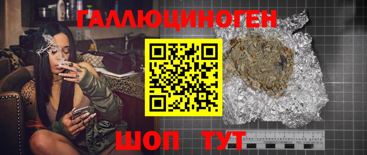 Галлюциногенные грибы Psilocybe Видное